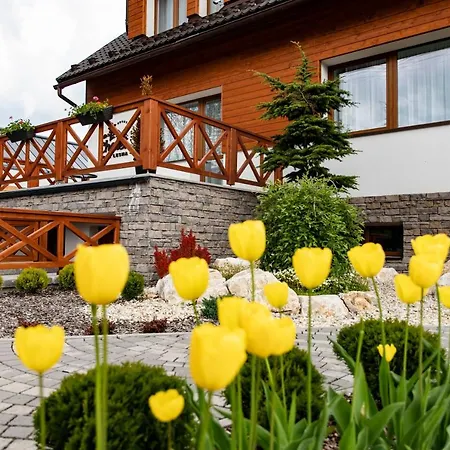 Penzion Mountain View